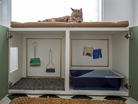cat litter for small apartment.